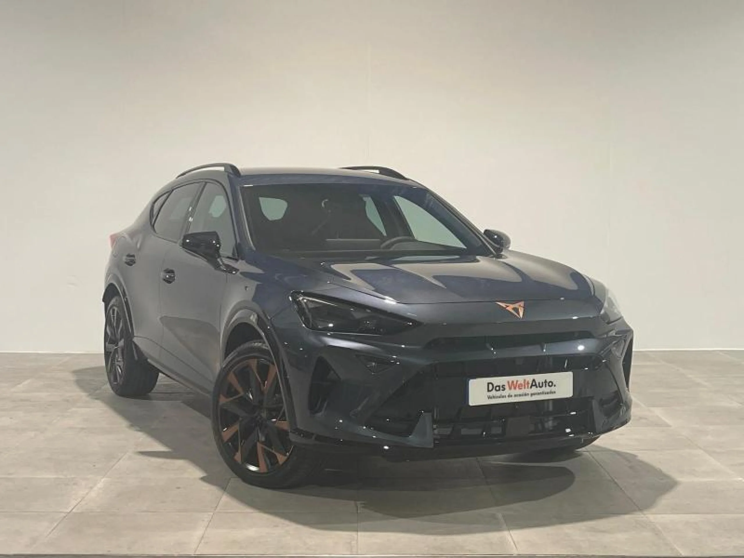 CUPRA FORMENTOR 1.5 TSI 110KW (150 CV) DSG - Foto 1