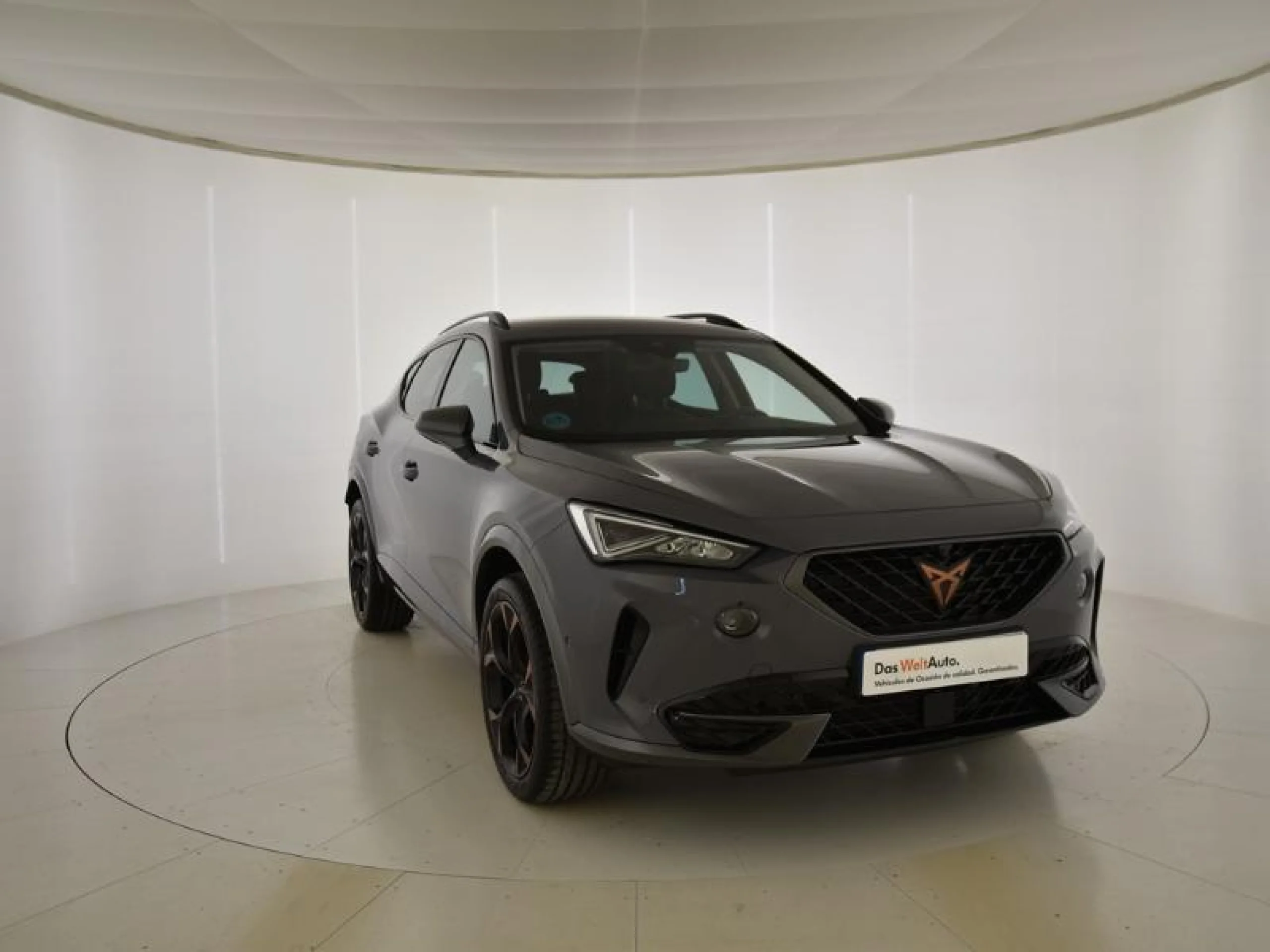 CUPRA FORMENTOR 1.5 TSI 110KW (150 CV) - Foto 1