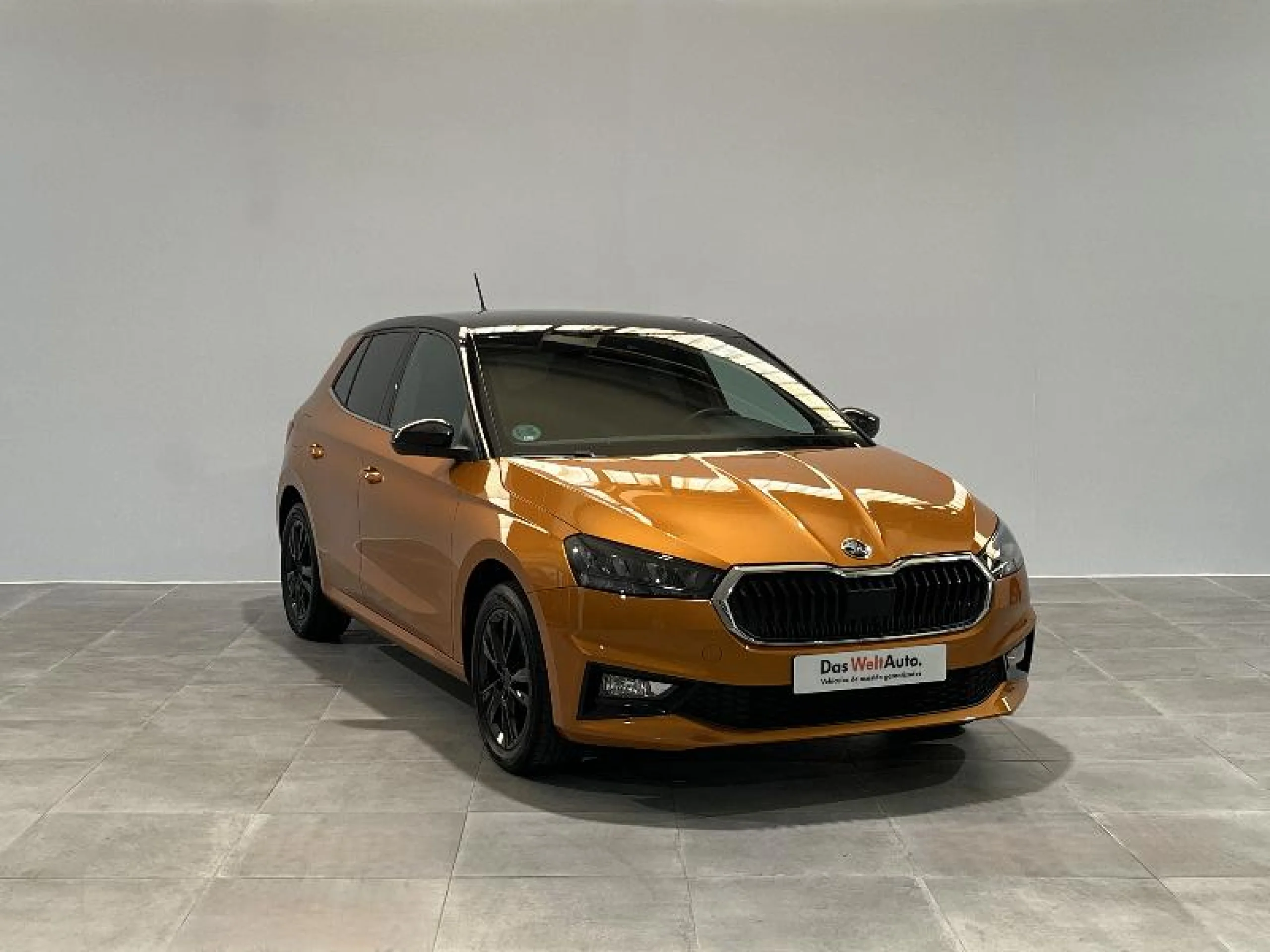 SKODA FABIA 1.0 TSI 70KW (95CV) STYLE - Foto 1