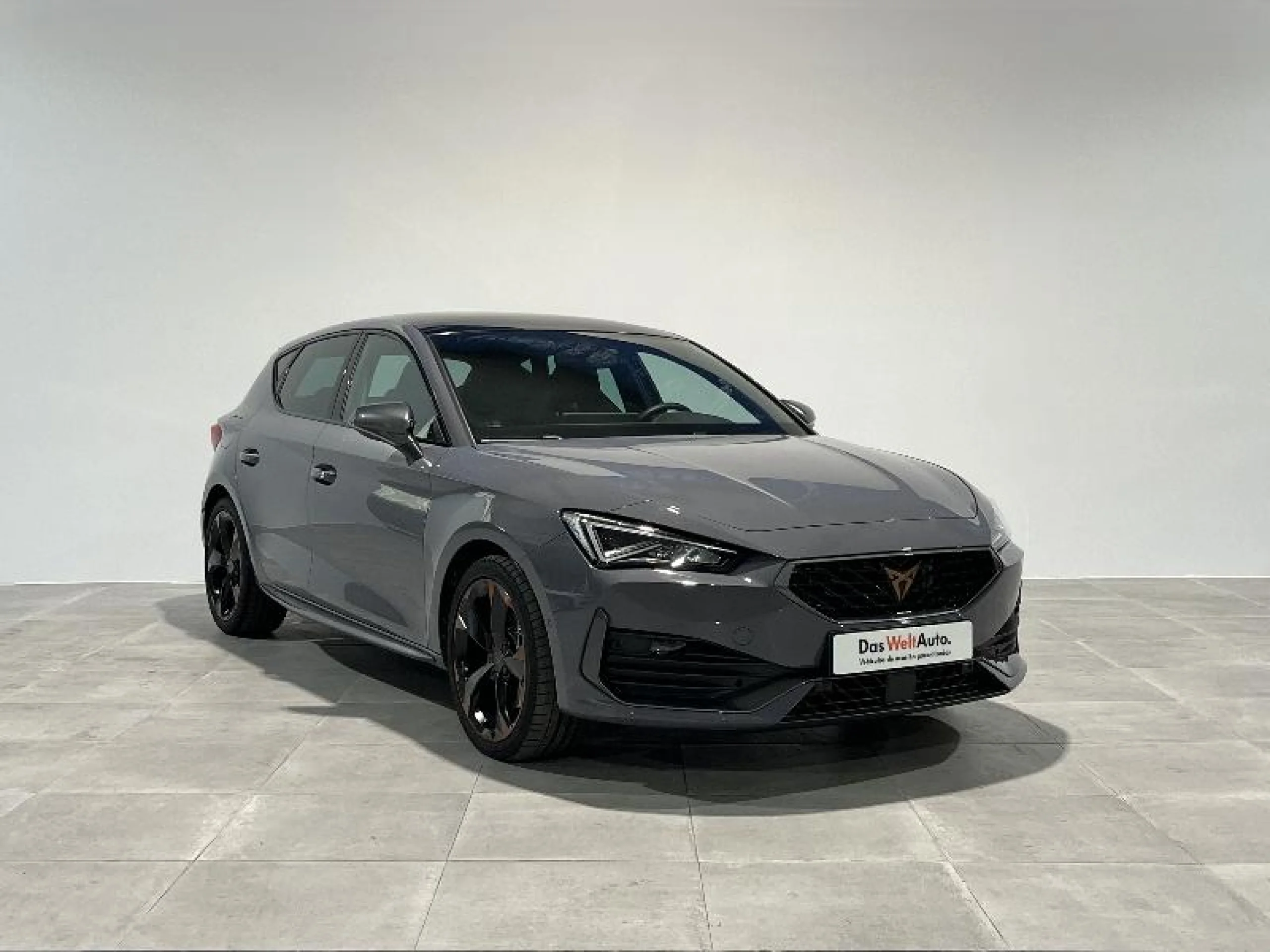 CUPRA LEON 2.0 TSI 140KW (190CV) DSG - Foto 1