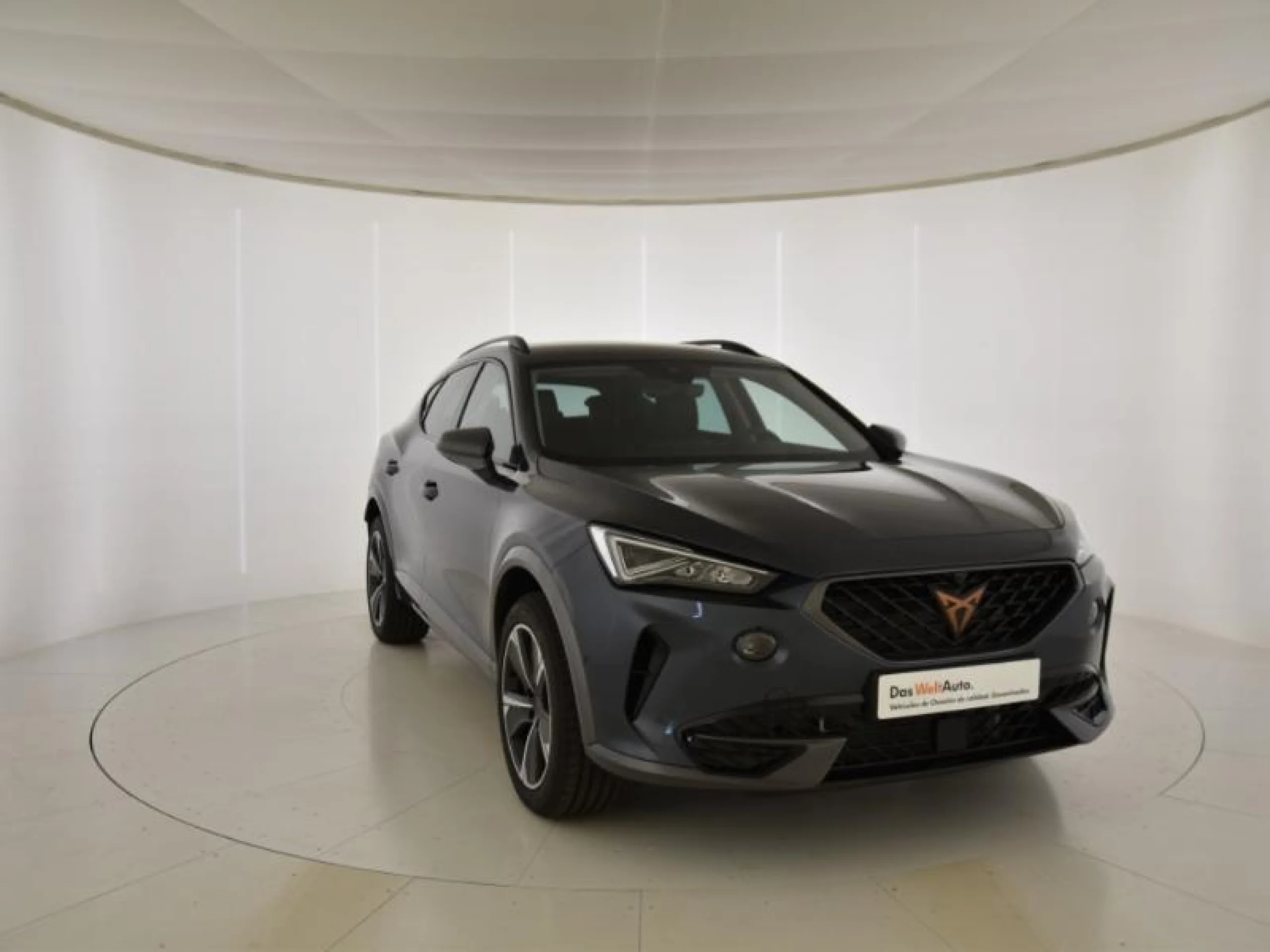 CUPRA FORMENTOR 1.4 E HYBRID 150KW (204 CV) DSG - Foto 1