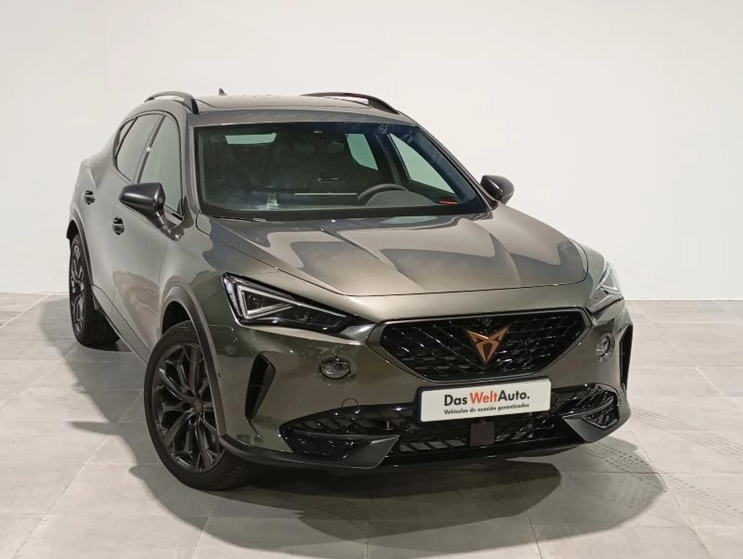 CUPRA FORMENTOR 1.4 E HYBRID 180KW VZ TRIBE EDITION DSG - Foto 1