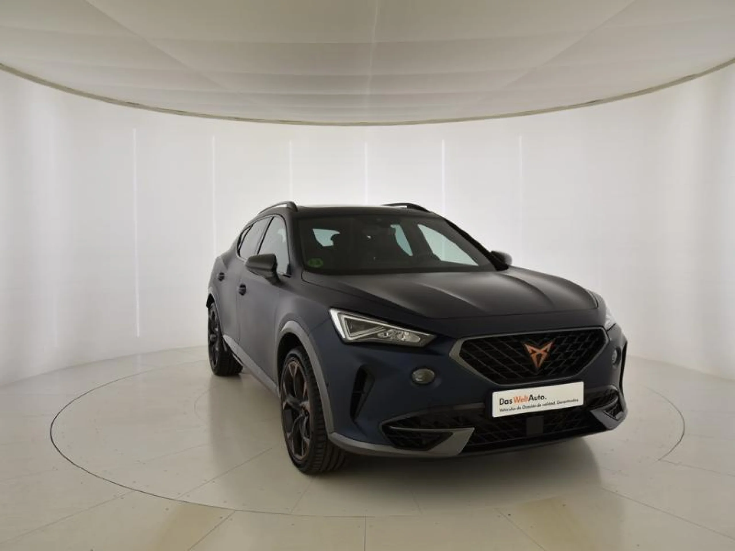 CUPRA FORMENTOR 2.0 TSI 228KW (310 CV) VZ 4DRIVE DSG - Foto 1