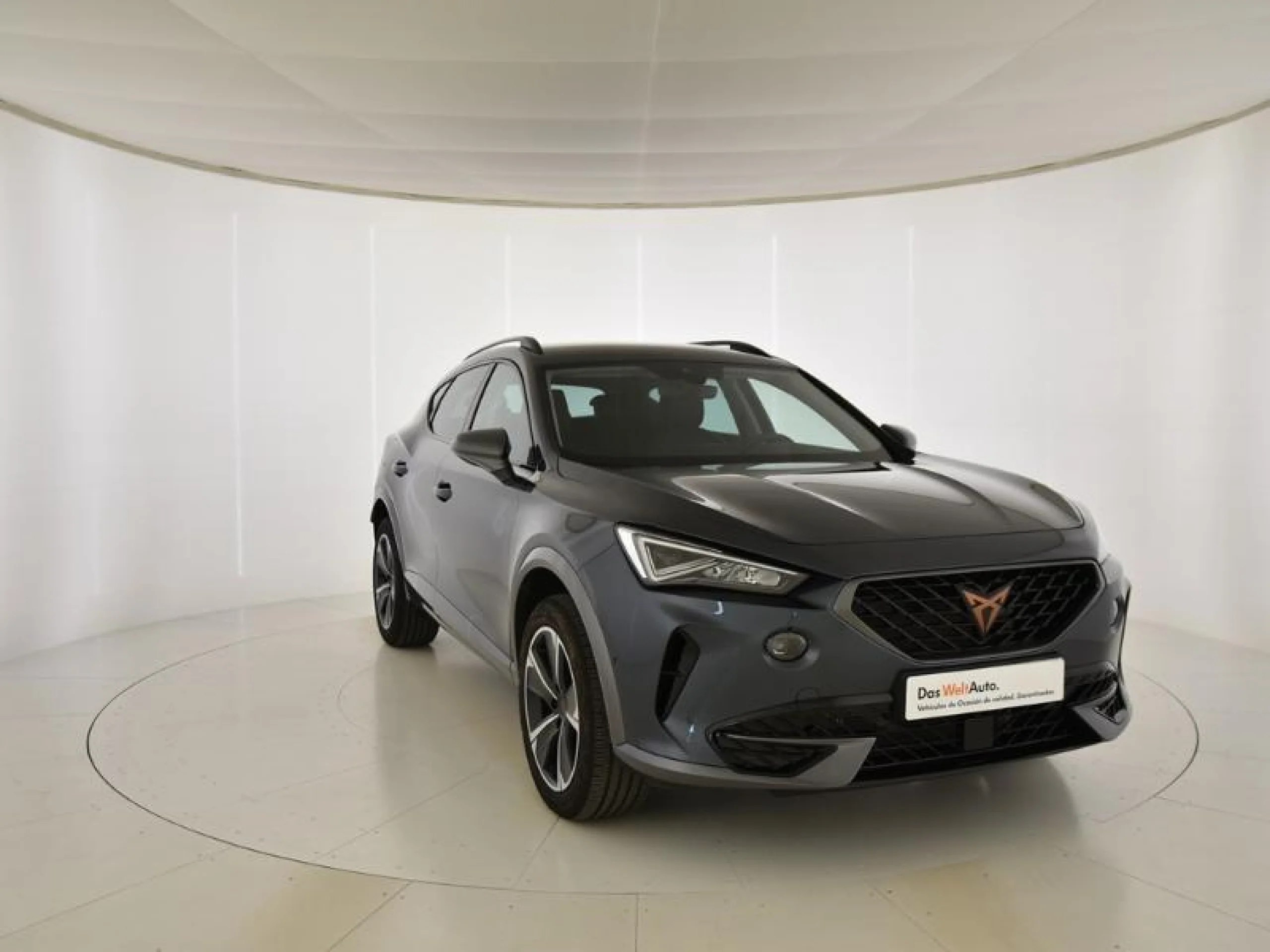 CUPRA FORMENTOR 1.5 TSI 110KW (150 CV) - Foto 1