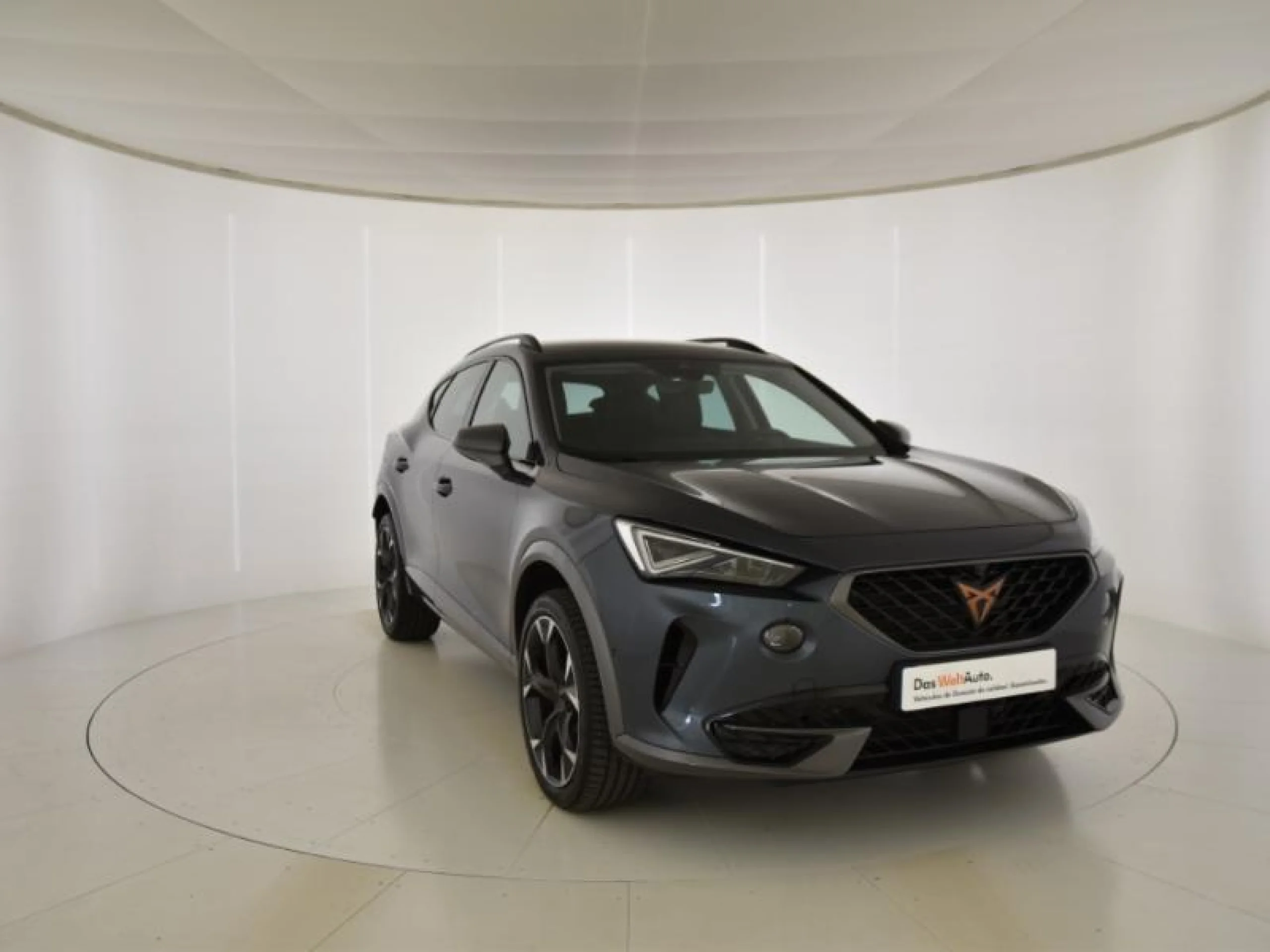 CUPRA FORMENTOR 1.5 TSI 110KW (150 CV) DSG - Foto 1