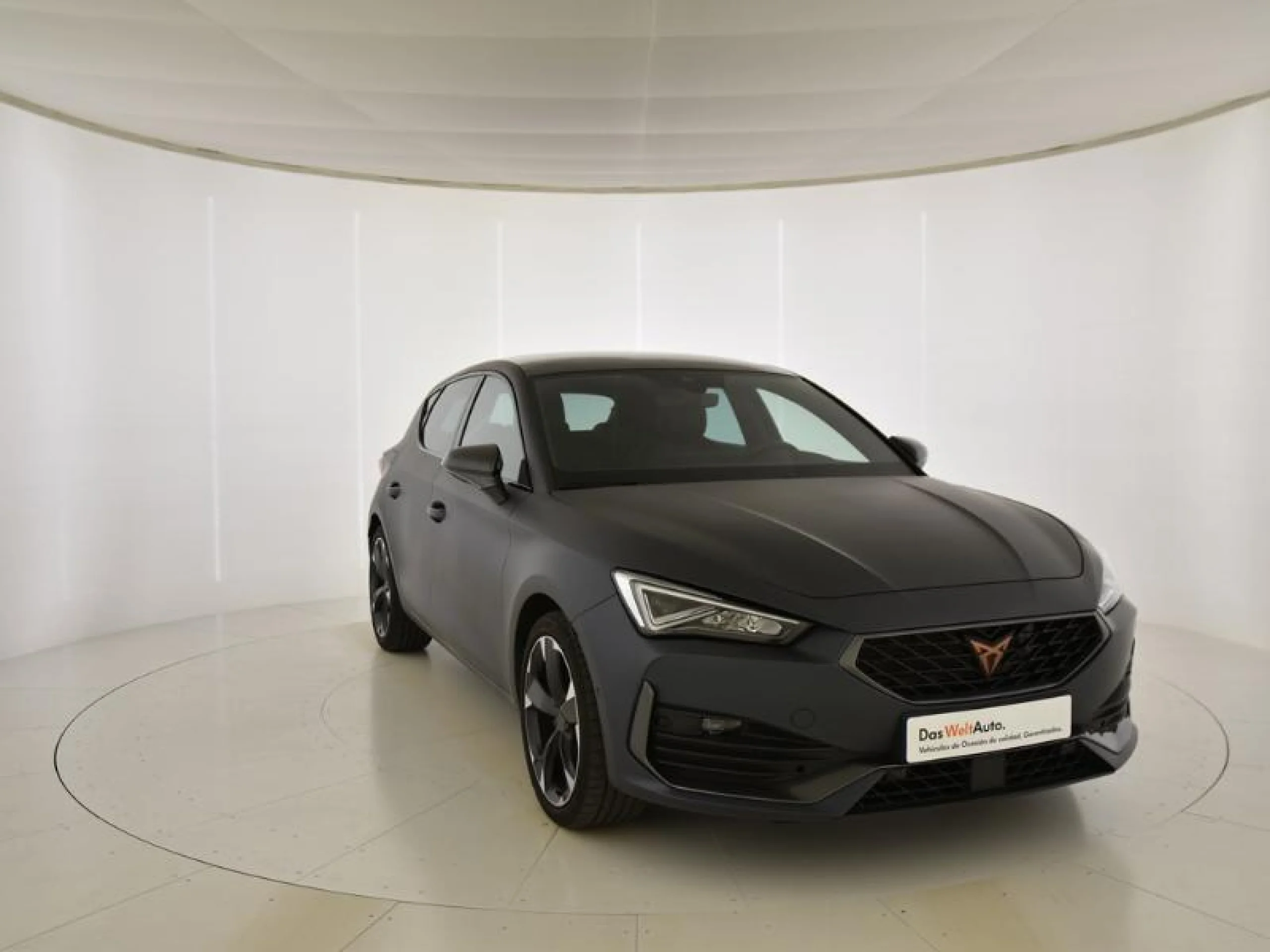 CUPRA LEON 2.0 TSI 140KW (190CV) DSG - Foto 1