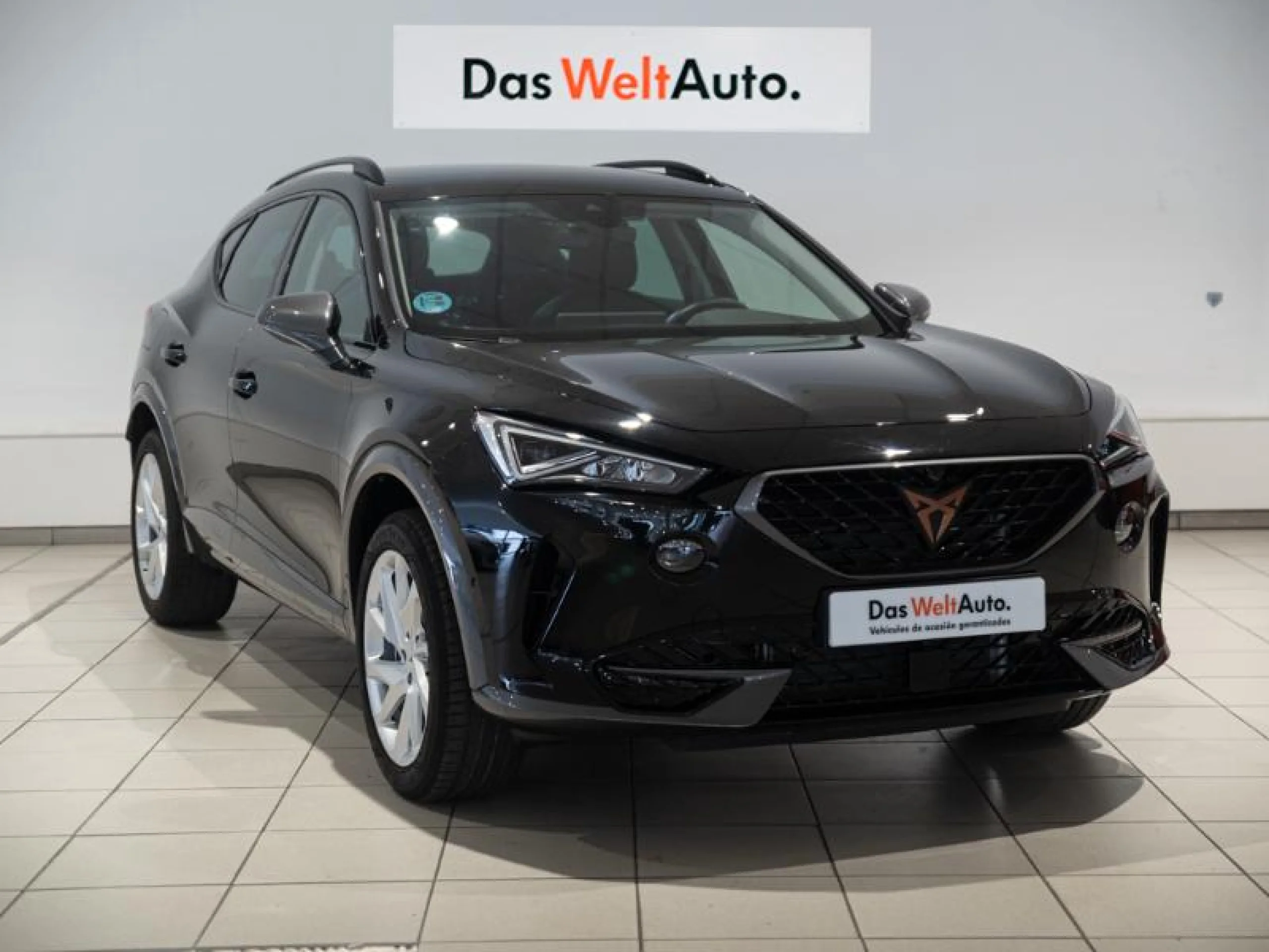 CUPRA FORMENTOR 2.0 TDI 110KW (150 CV) - Foto 1