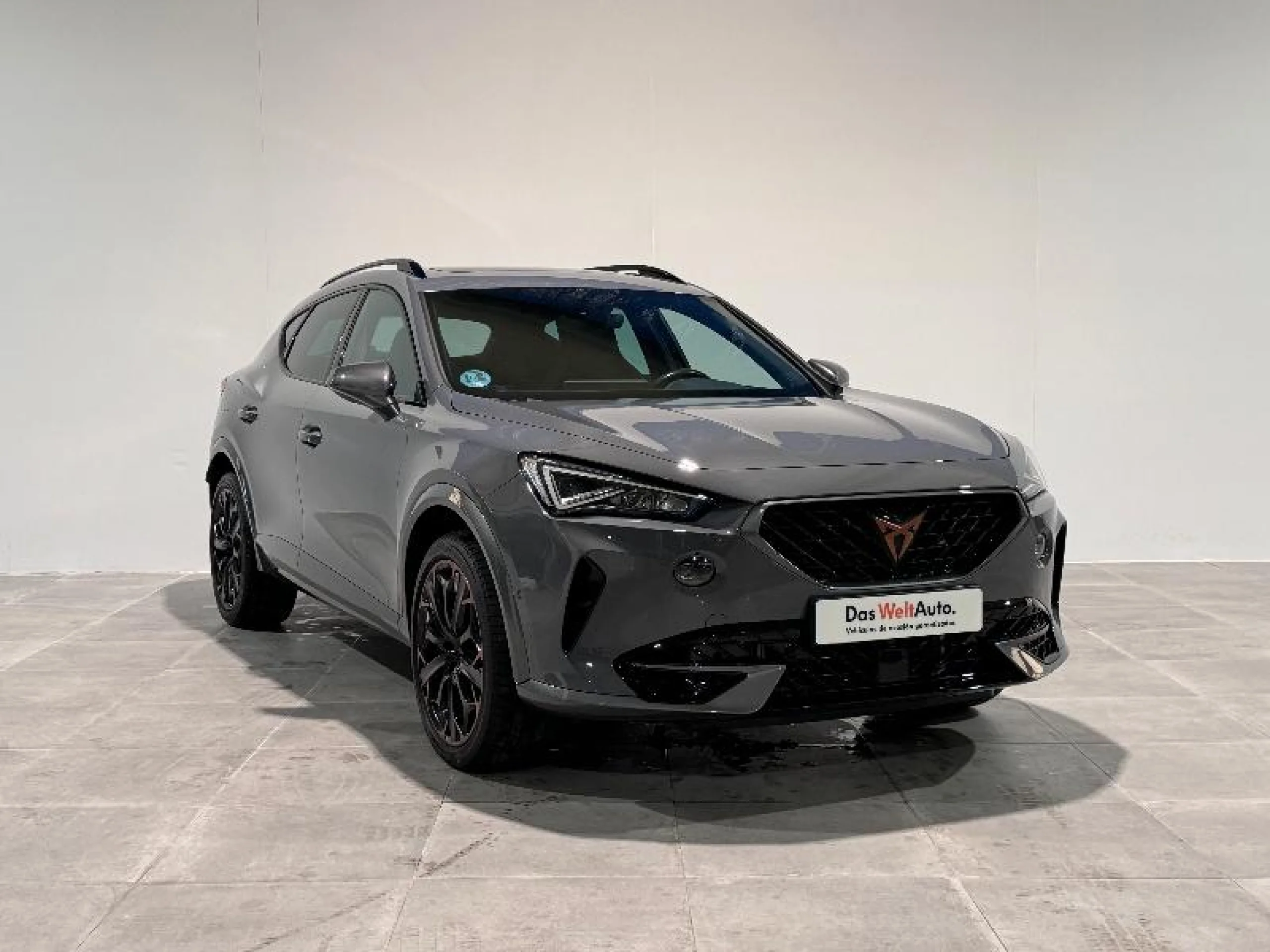 CUPRA FORMENTOR 2.0 TSI 228KW (310 CV) VZ 4DRIVE DSG - Foto 1