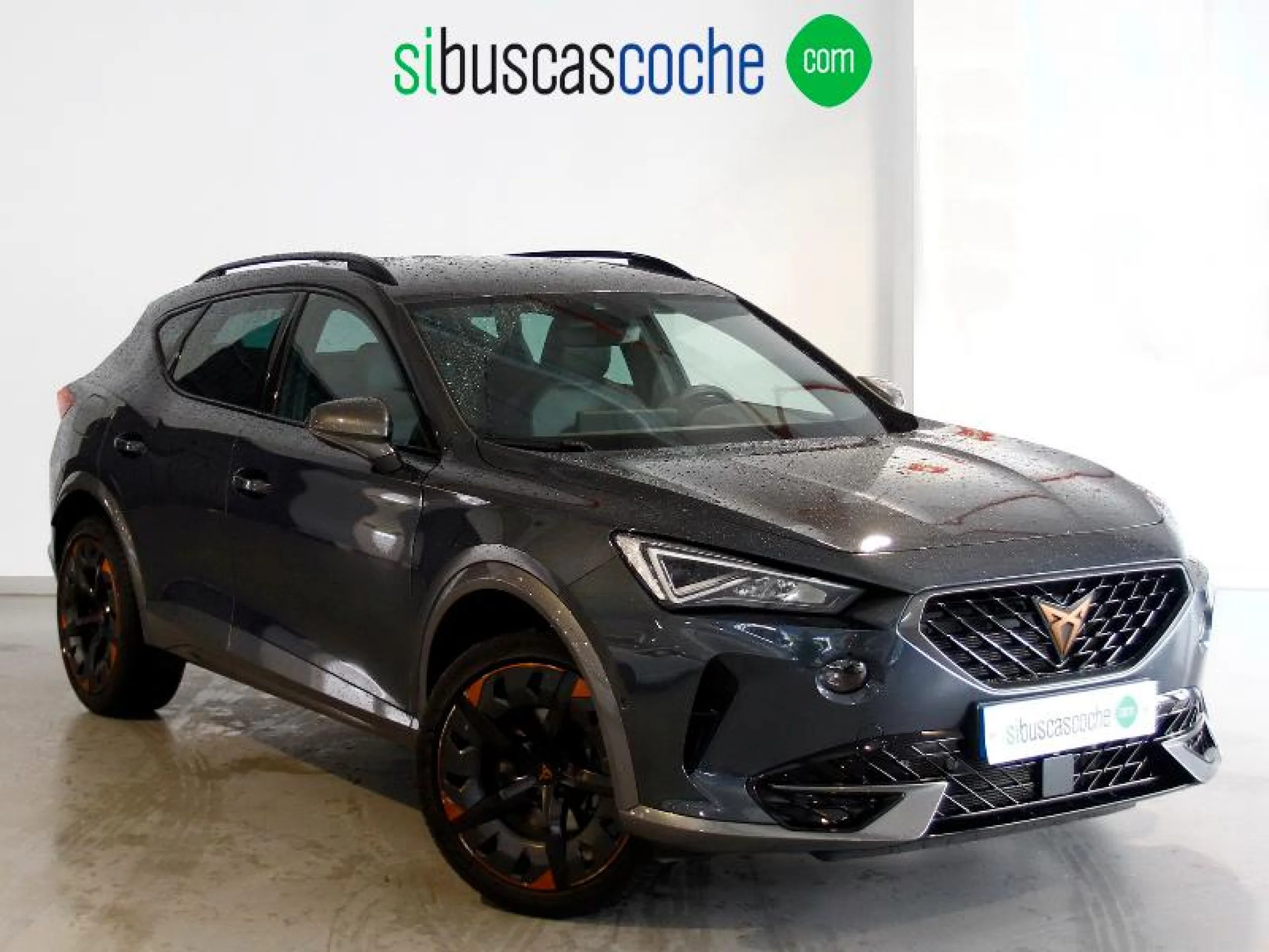 CUPRA FORMENTOR 2.0 TDI 110KW (150 CV) 4DRIVE DSG - Foto 1